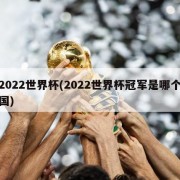 2022世界杯(2022世界杯冠军是哪个国)