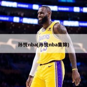 孙悦nba(孙悦nba集锦)