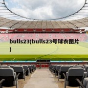 bulls23(bulls23号球衣图片)