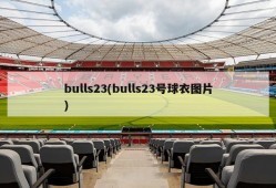 bulls23(bulls23号球衣图片)