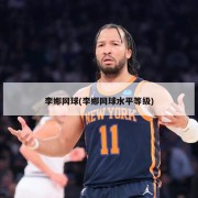 李娜网球(李娜网球水平等级)