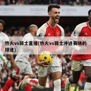 热火vs骑士直播(热火vs骑士冲进赛场的球迷)